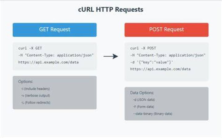 Sending a POST request via curl has issues with double quotes