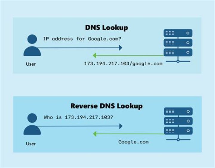 Server requesting DNS lookup for a box that doesn't exist