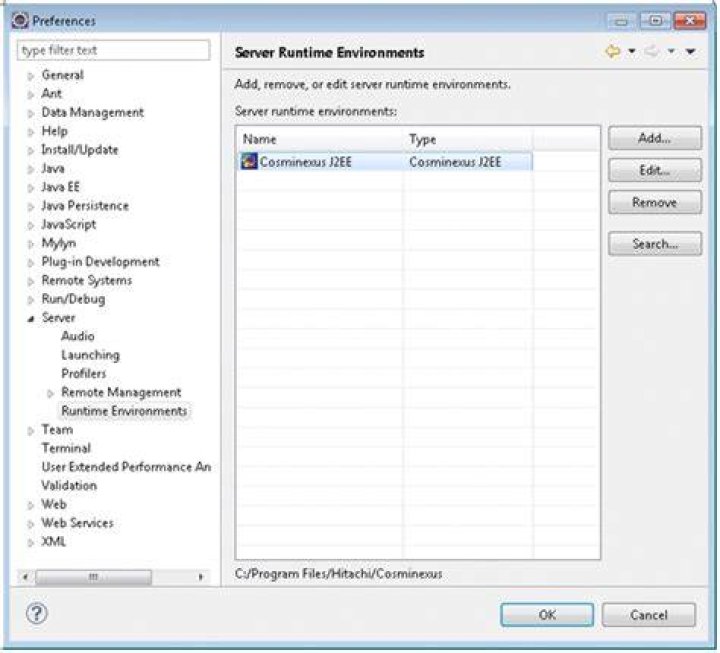 Server Runtime Environment