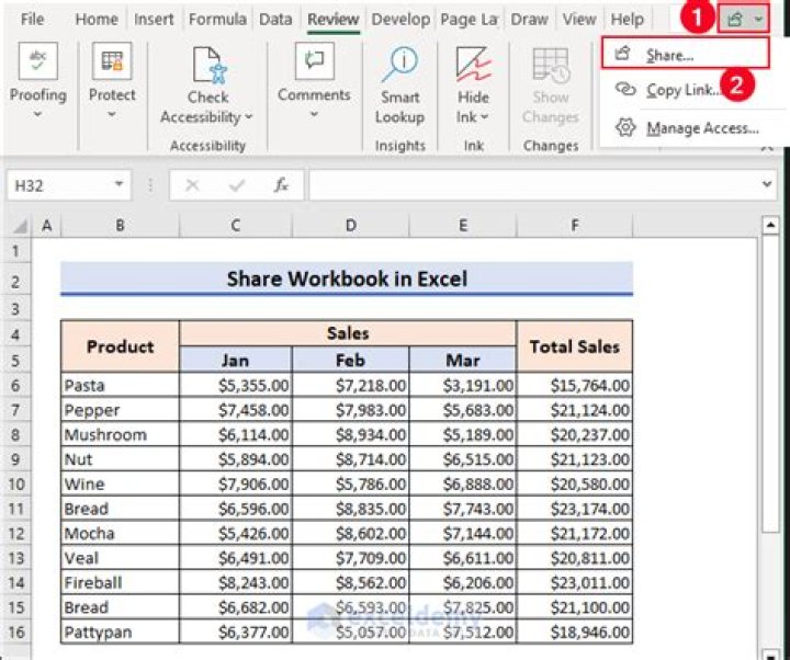 Share Workbook