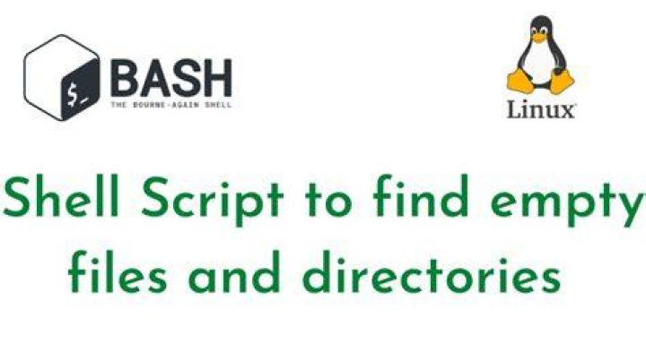 Shell Script working with multiple files [duplicate]
