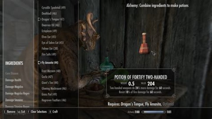 Skyrim potions for boosting alchemy skill