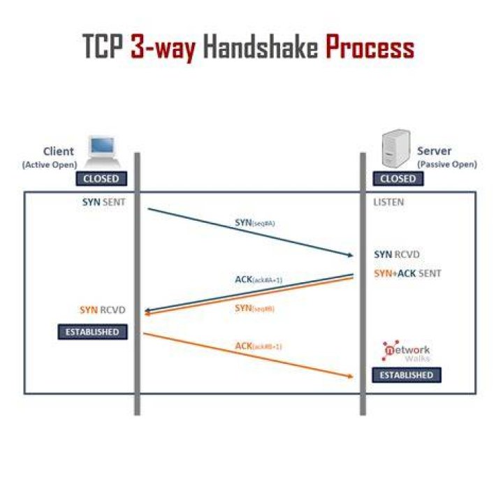 Socket closed abruptly during opening handshake while trying to connect to RabbitMq
