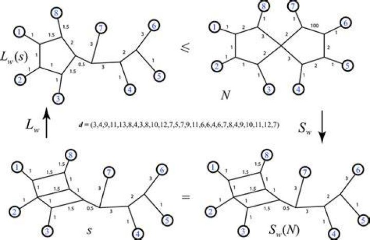 Special Galois connections