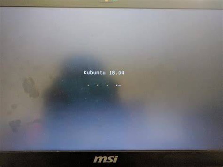 Splash screen after Try Kubuntu with nomodeset
