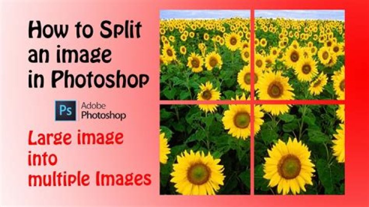 Split image to multiple pages