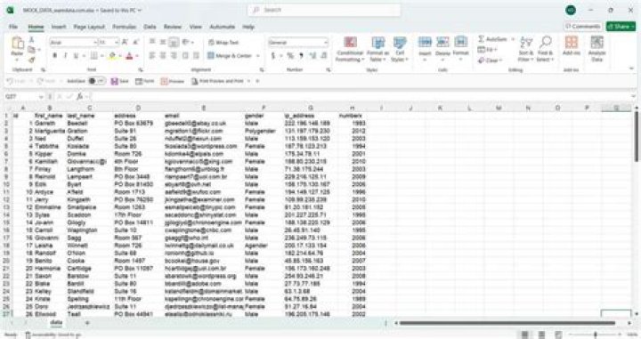 spreadsheet with dummy data