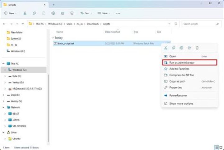 Start an internal chrome page using a Windows batch file