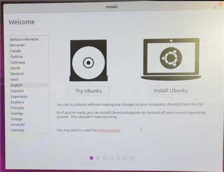 Startup page of Ubiquity from thumb drive