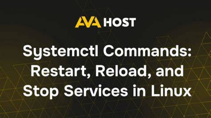 Stop Terminal from saving commands