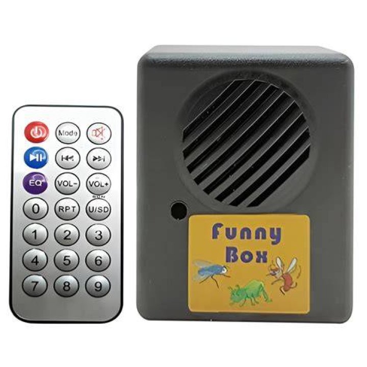 Strange 'beep-beep' alarm each day at noon