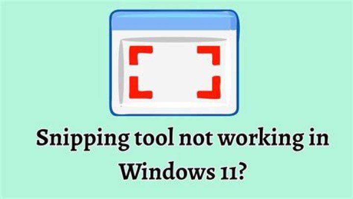 SUID not working?