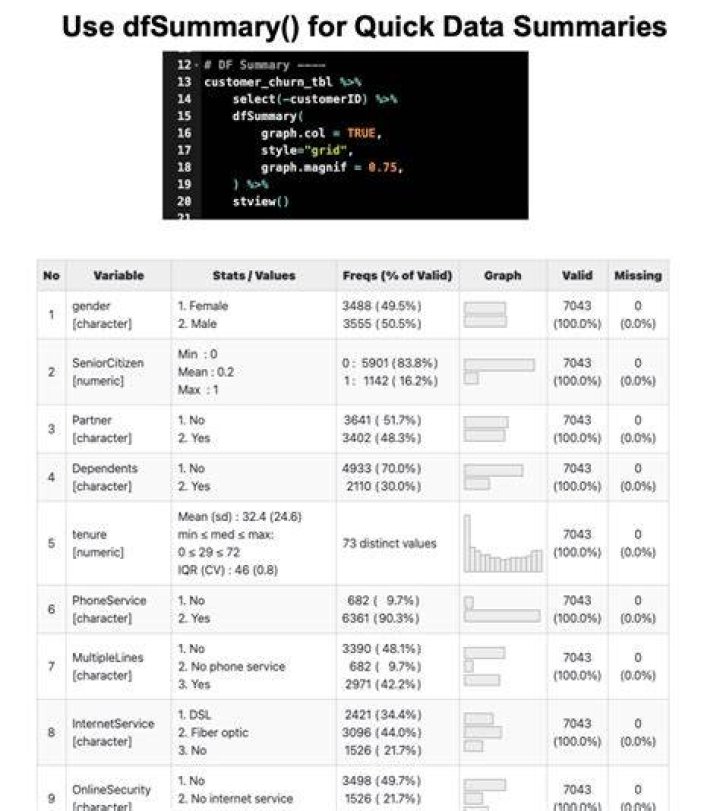 summarytools error while knitting in R Markdown