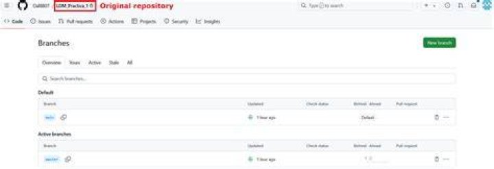 Sync Upstream branches in a forked repository from the parent repository