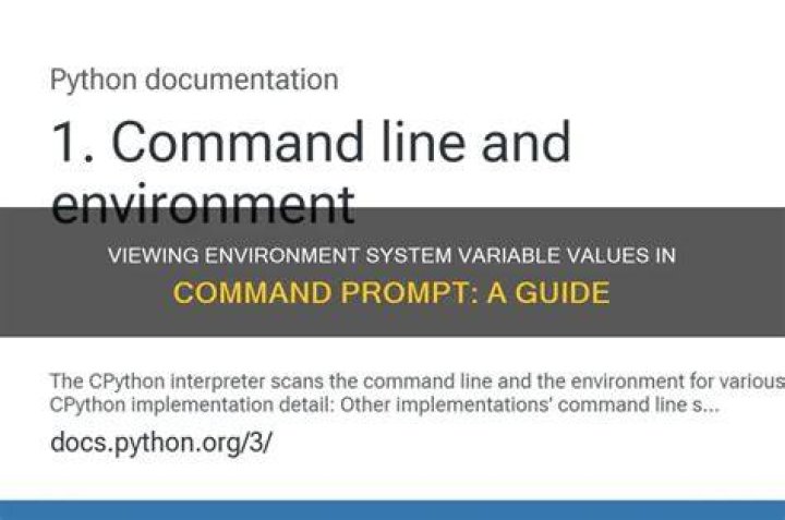 System Variable