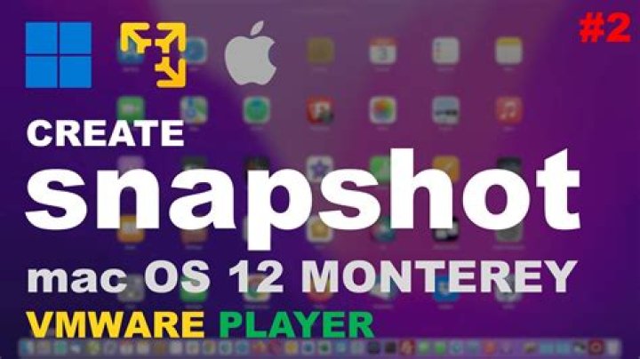 Taking a VmWare Player snapshot