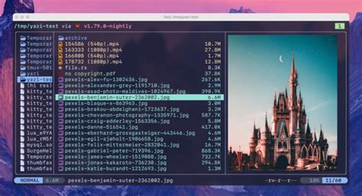 terminal screenshot of trying to remove /home/shadi