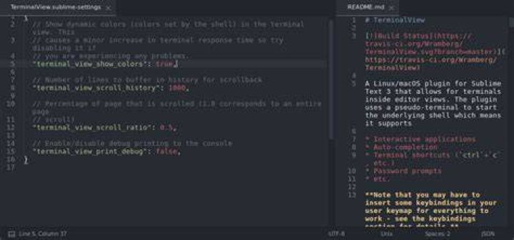 TerminalView in SublimeText