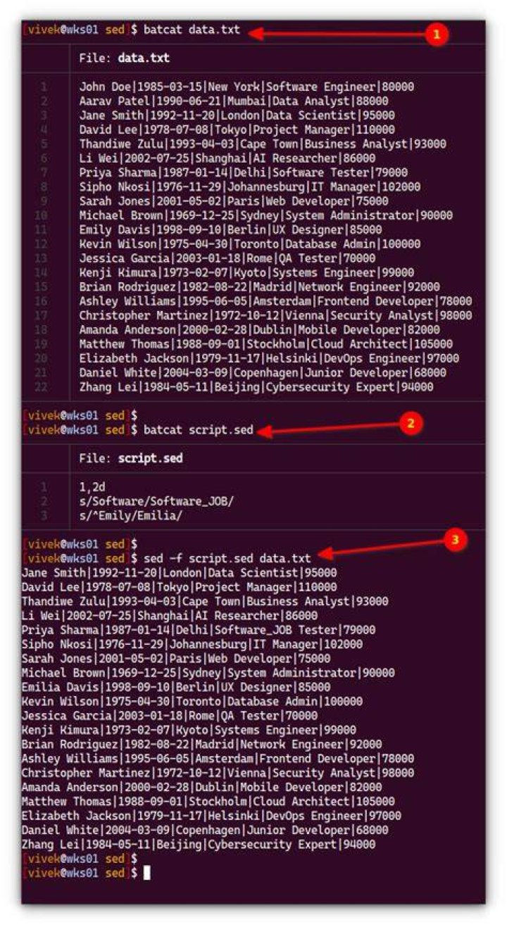 Text substitution (reading from file and saving to the same file) on linux with sed