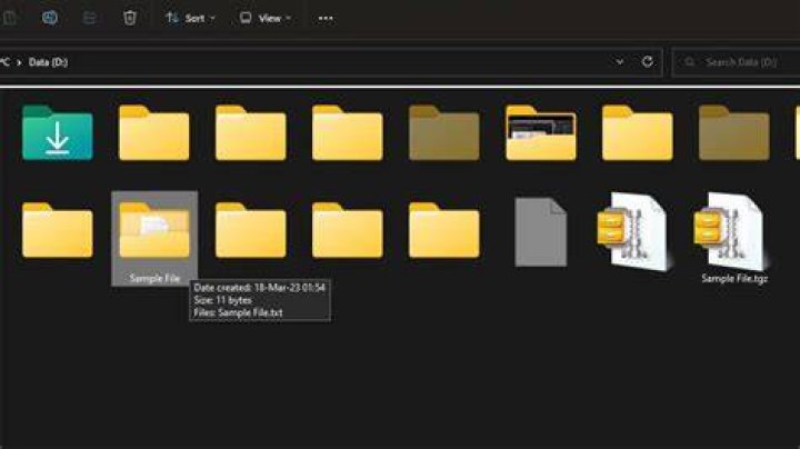 tgz file extracted folders has no files
