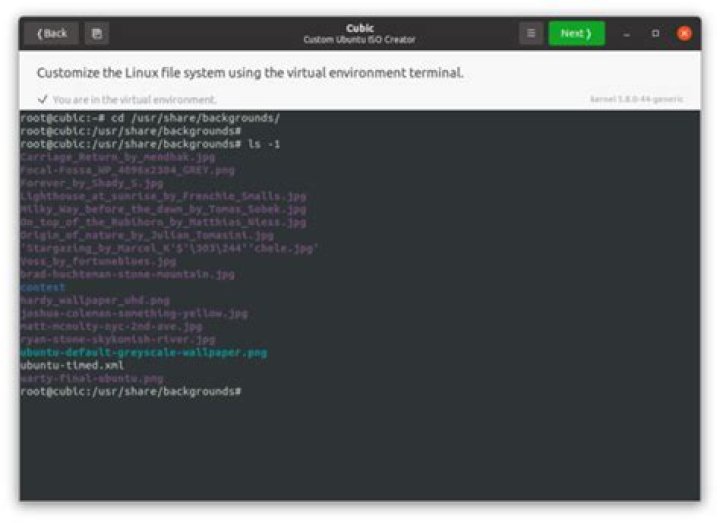 The Cubic Terminal Listing Copied files