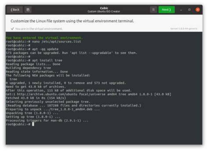 The Cubic Terminal Page with Nano