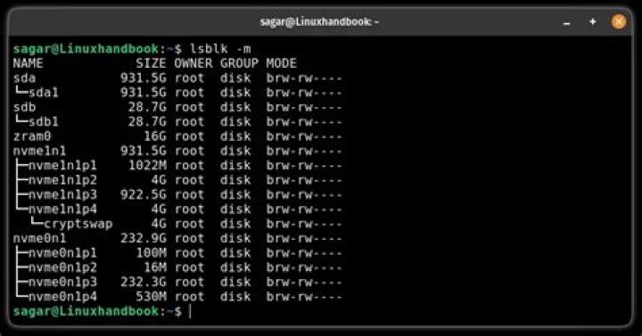 The output for `sudo lsblk