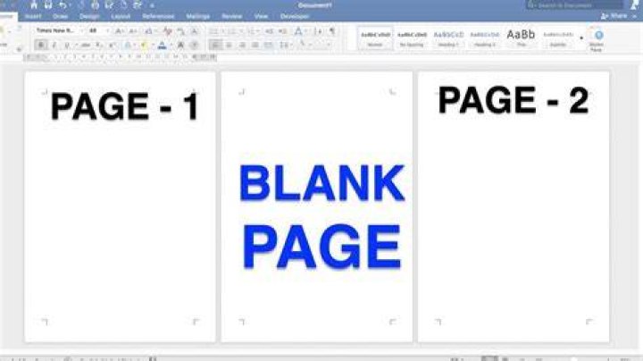 This is the blank page