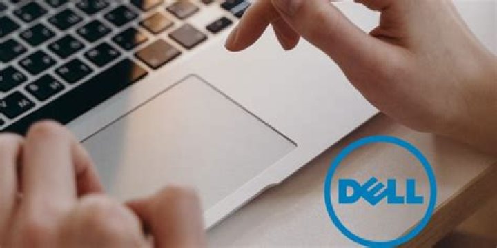 Touchpad stopped working DELL Latitude D630