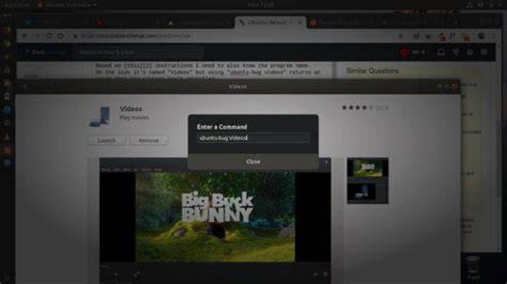Ubuntu (GNOME) default video player name