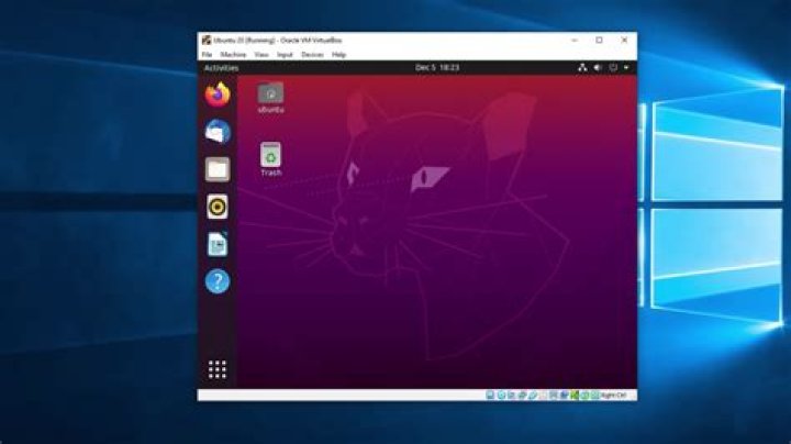 Ubuntu host can't ping guest virtual box Windows 10