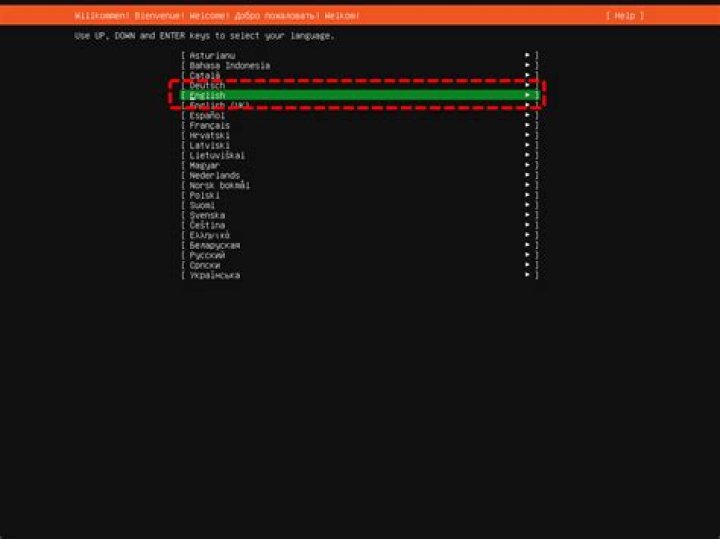 Ubuntu Server 20.04.1 LTS, not all disk space was allocated during installation?