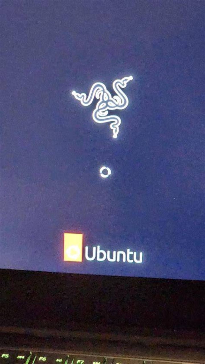 Unable to boot from LiveUSB on Razer 2017 Windows 10