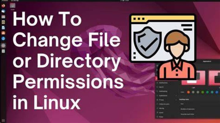 Unable to change permissions inside AWS Docker ubuntu instance