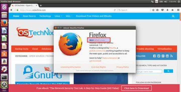 Unable to downgrade firefox version using apt-get in Ubuntu