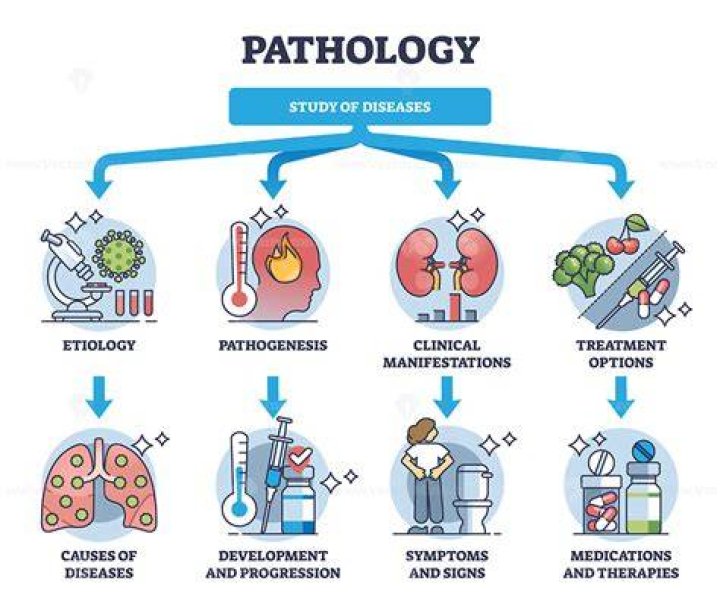 Useful examples of pathological functions