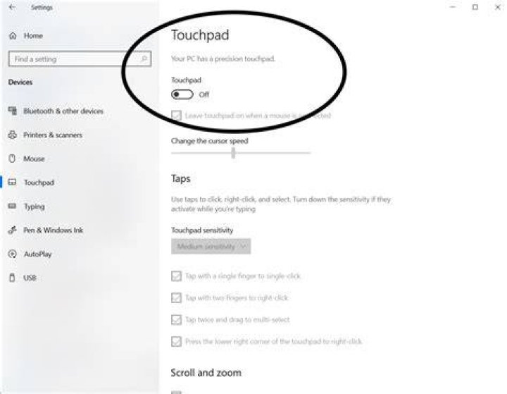 Using outlook.office.com OVERRIDES Windows 10 setting disabling Touchpad (!!!)