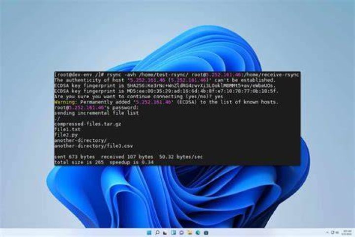 Using wildcards in 