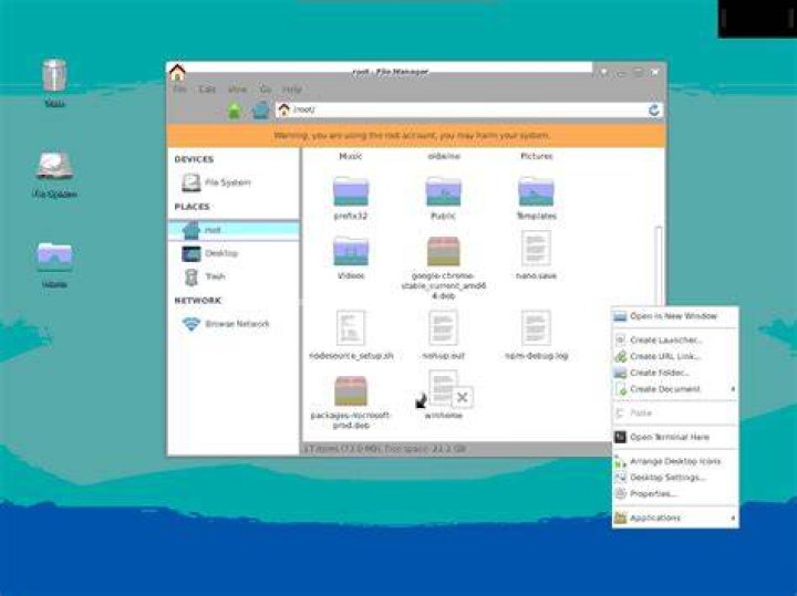 VNC Server does not display application GUI