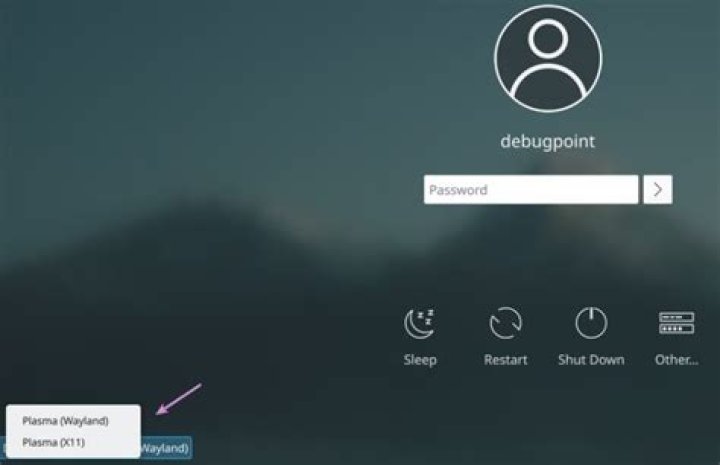 wayland login loop after moving $HOME to new SSD