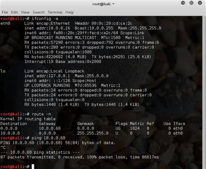 Weirdly I can't ping my Gateway from linux virtual machines