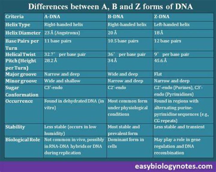 What's the difference between ]a,b[ and (a,b)?