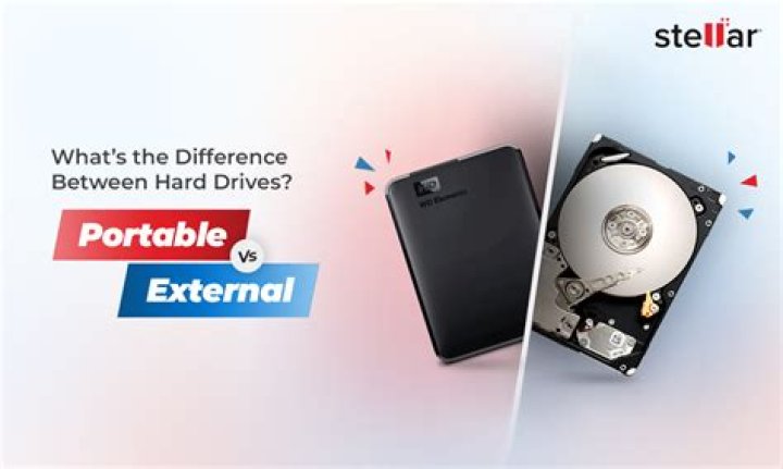 What's the difference between portable and install versions?