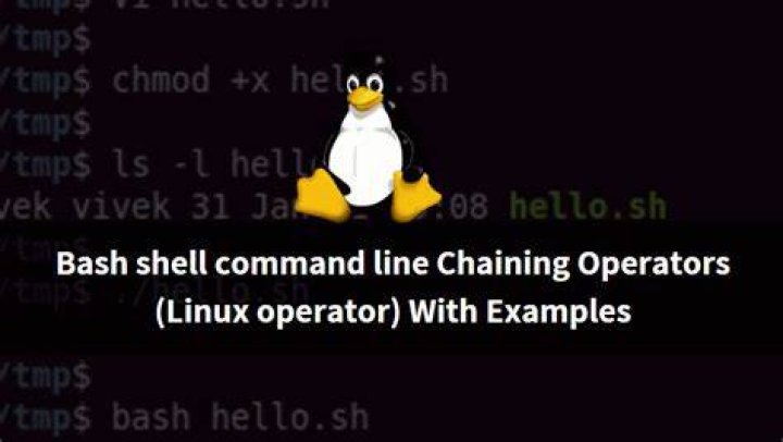 What's the meaning of the parameter -e for bash shell command line?