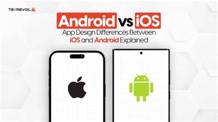 What are the fees to develop on iOS, Android and WP? [closed]
