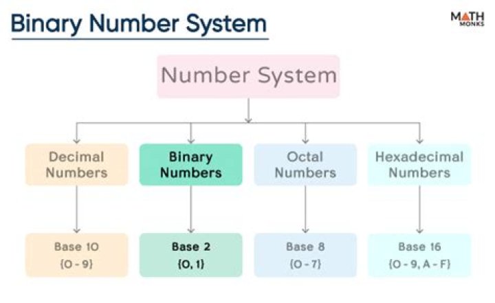 What are the names of numbers in the binary system?