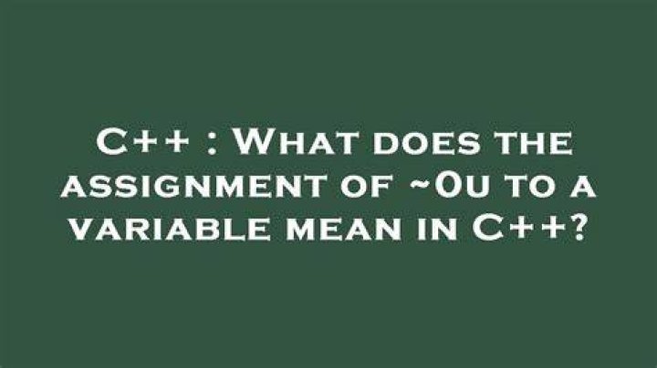 What does the assignment of ~0u to a variable mean in C++? [duplicate]