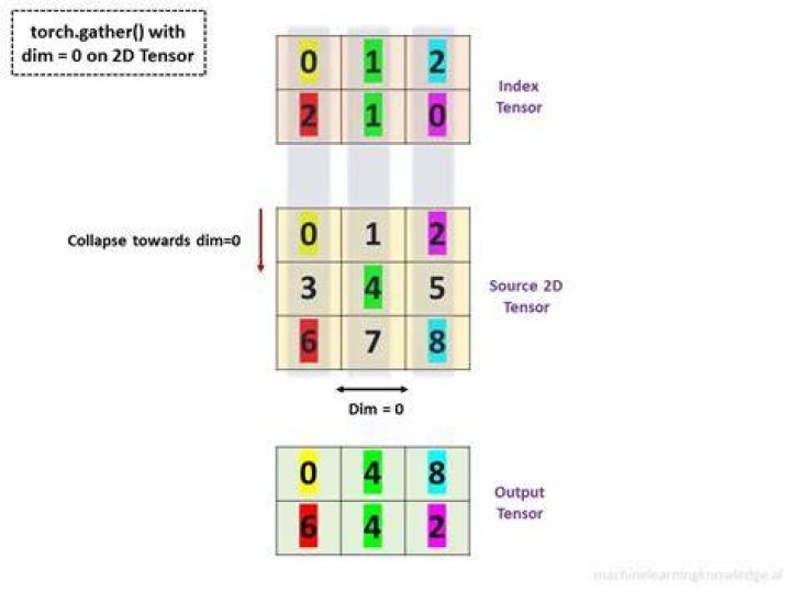 What does the gather function do in pytorch in layman terms?