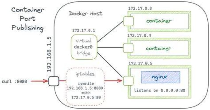 what does the -i flag do in docker?