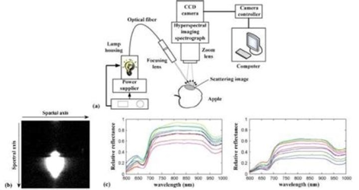 What does x-apple-data-detectors do within a href?